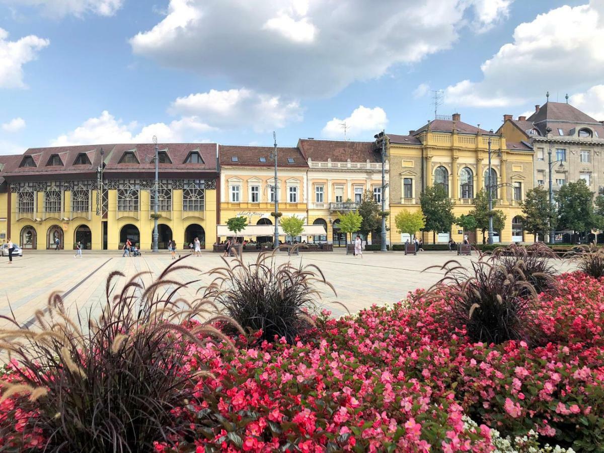 M37 Apartman Debrecen Extérieur photo